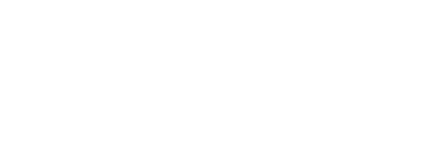 IMM Intense Motorsports Maui