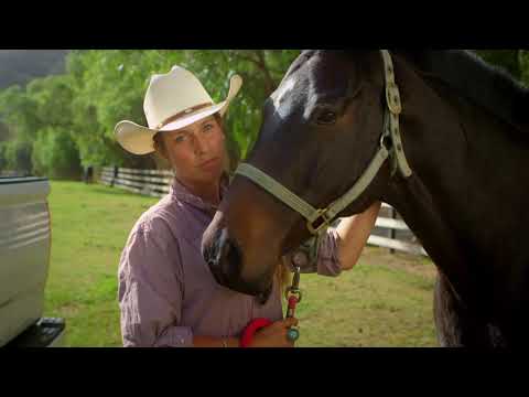 Matte Jackrabbit Fullmetal Tonneau Cover Kit 15-20 Super Crew / Supercab 5 Foot 6 Inch X Short Bed Pace Edwards